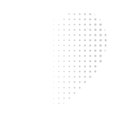 Ikona