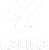 La Liga Logo