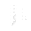ikona