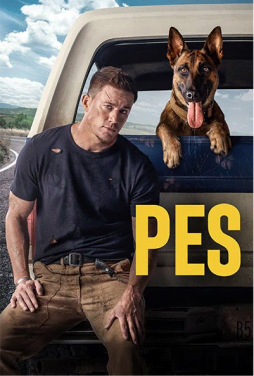Filmový plakát Pes