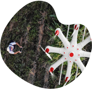 Telekomunikace mají vysoký potenciál