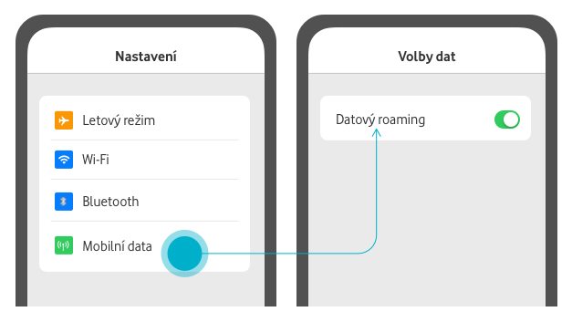 Screenshot nastavení mobilních dat
