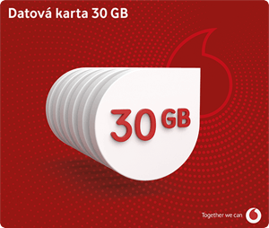 Datová karta 30 Gb