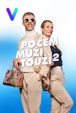 Filmový plakát Po čem muži touží