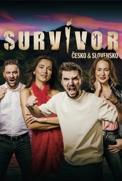 Filmový plakát Survivor