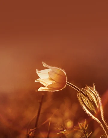 Banner pro Chráníme planetu