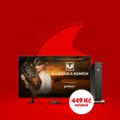 Pevný internet + Vodafone&nbsp;TV+ za&nbsp;nejlepší cenu
