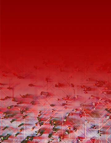 Banner pro Vodafone BigData