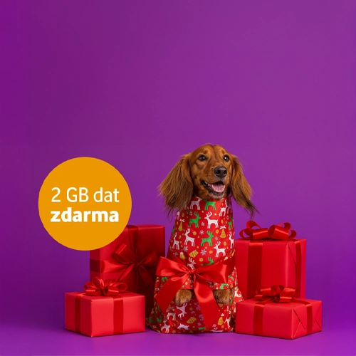 Oskarta, SIMka podle tebe