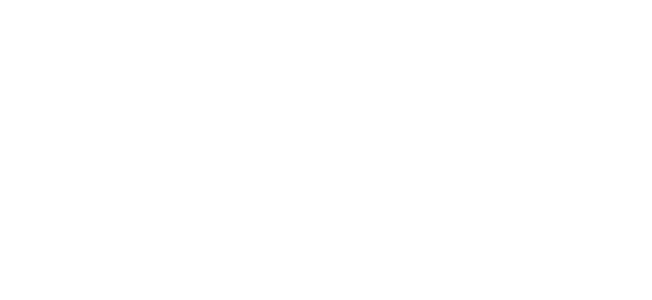 Logo A11