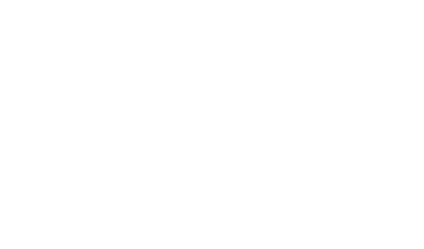 Logo Animal Planet HD