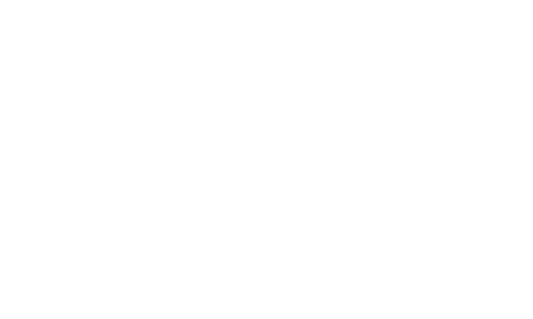 Logo Cartooon Network HD