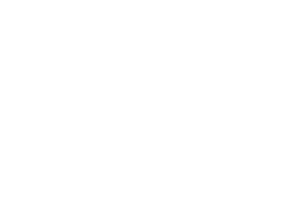 Logo Crime&Investigation