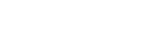 Logo ČT 24 HD