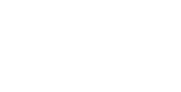 Logo Fast&Fun HD