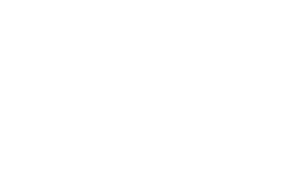 Logo Minimax