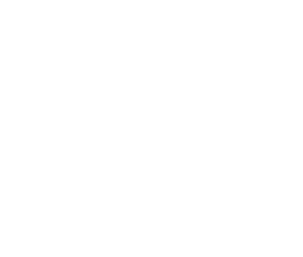 Logo Nicktoons