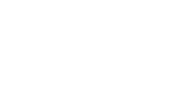 Logo Polar