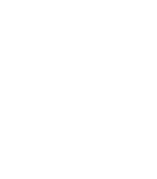 Logo Private HD