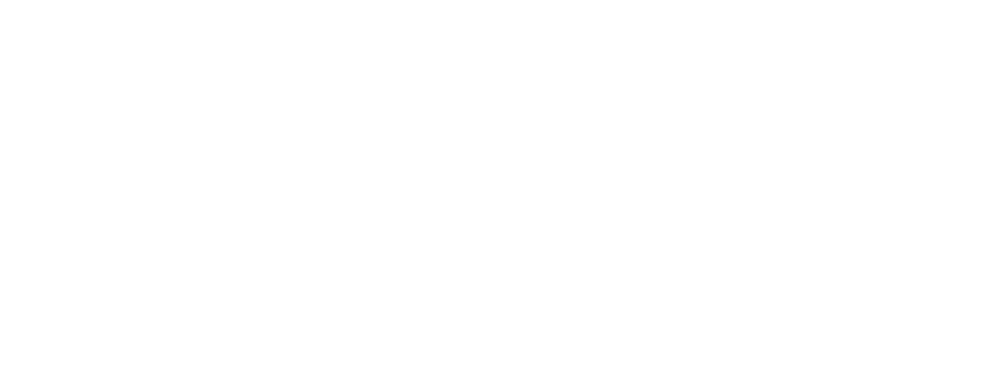 Logo prima+ PREMIUM