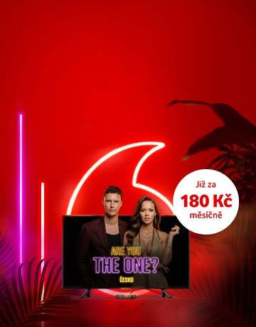 Banner pro Are You the One?